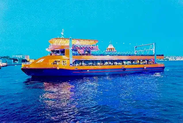 Bosphorus Dinner Cruise