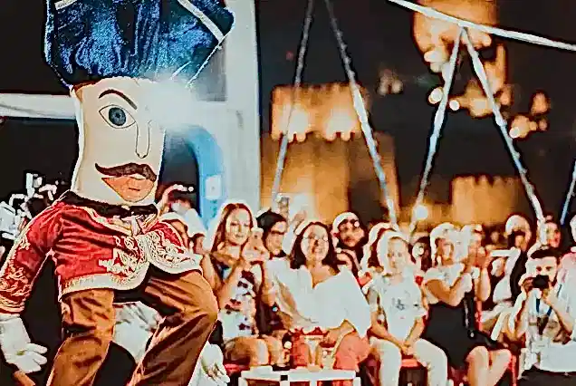 Bosphorus Dinner Cruise