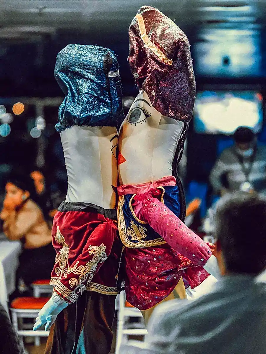 Bosphorus Dinner Cruise