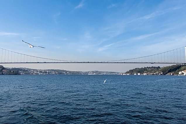 Bosphorus lunch Cruise