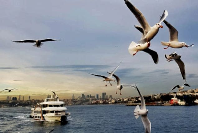 Bosphorus Cruise with lunch