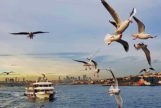 Byzantine Relics & Bosphorus Cruise – Full Day Istanbul Tour